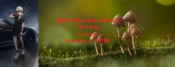 скорость Осташков