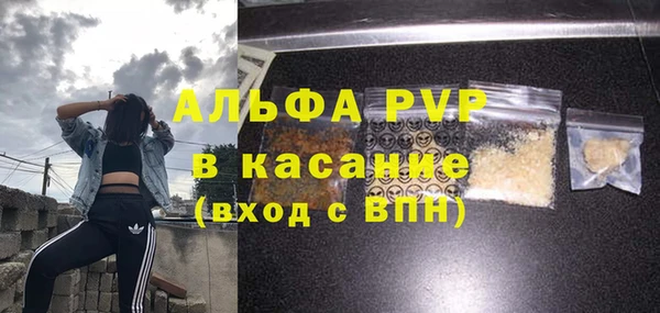 соль ск Пересвет