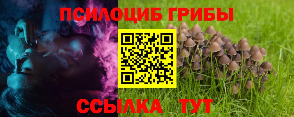 Галлюциногенные грибы прущие грибы  Галлюциногенные грибы мицелий  Вход с VPN  Куйбышев 
