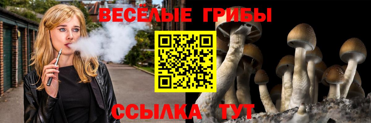 Псилоцибиновые грибы ЛСД Куйбышев